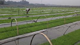 Bangladesh sustainable farming target 2030