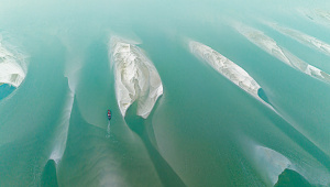 big-pic1.jpg