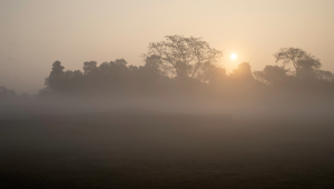 Foggy lands