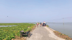 Chalan-beel5.jpg