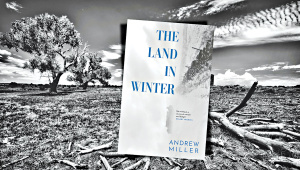 The-Land-in-Winter.jpg