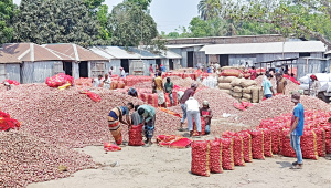 onion-prices.jpg