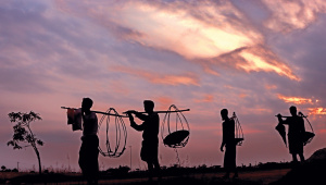 Carrying-bamboo-baskets.jpg