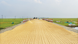 Kishoreganj_paddy.jpg