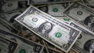 OP_2__Dedollarisation.jpg