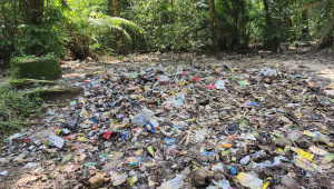 Lawachara littering 3.jpg