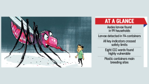 ctg-dengue-stat.jpg
