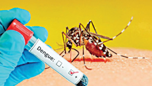 Dengue Cases In Bangladesh Latest Update