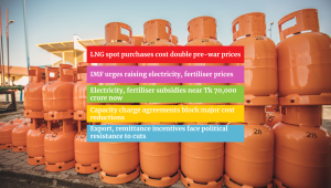 subsidy gas.png