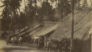 Jibanananda Das Bonolata Sen