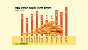 BD wheat.jpg