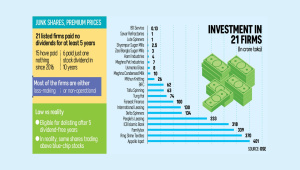 DSE junk shares.jpg