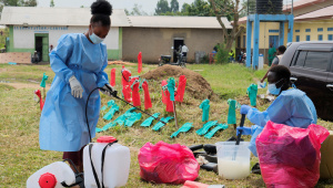Ebola virus.JPG