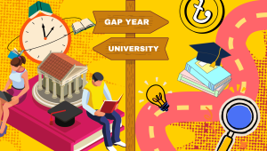 Gap year.png