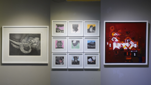 ‘Inner Certitude’: Mohiuddin Ahmed’s solo exhibition explores themes of environmental change