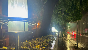 Monsoon_Tousef.jpeg