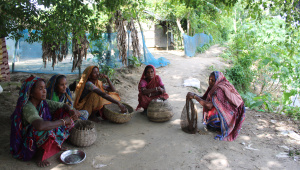 Jhenaidah Bagdi community livelihood crisis