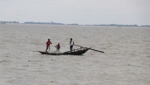 hilsa-season.jpg