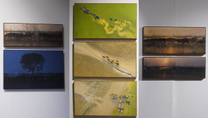 ‘The Quiet Within’: Exhibition blurs the line between photography and painting