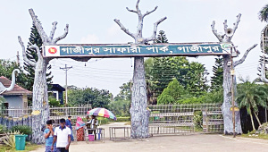 elephant deaths at Gazipur Safari Park