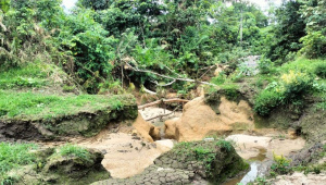 monsoon damage in Satchari National Park Bangladesh