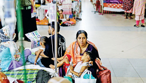 dengue-1.jpg