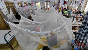dengue-surge-khulna.jpg