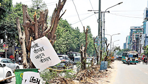 satmasjidroad.jpg