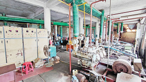 A-shrimp-processing-plant-1.jpg