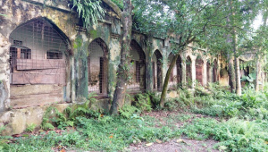 Carmichael-College.jpg