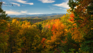 In Delaware’s autumn, I remember Dhaka’s winter