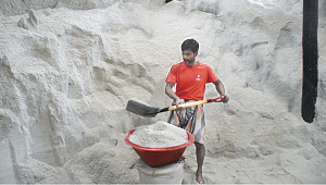 Salt-imports.jpg