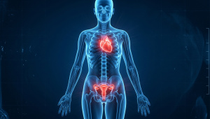 Truth about menopause and your suddenly rising heart risk