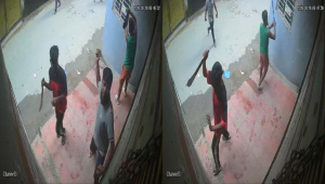 adabor_attack.jpg