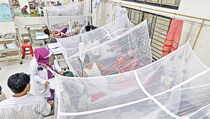 Bangladesh dengue deaths 2026