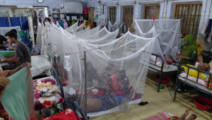 khulna dengue 1.jpeg