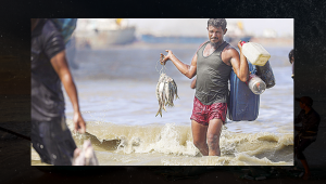 Fisherman Struggle.png