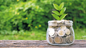 green-finance.jpg