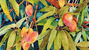 Mango.jpg