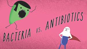 bacteria.jpg