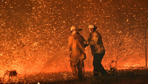 bushfires in australia.jpg
