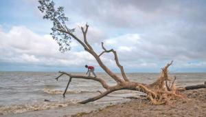 climate action.jpg
