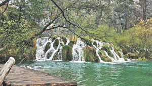 Crotia1.jpg