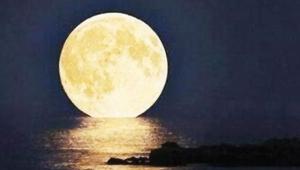 dear-moon.jpg