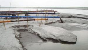 jamuna.jpg