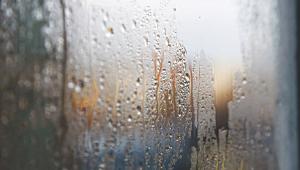 Monsoon.jpg