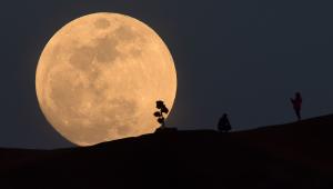 moon.jpg