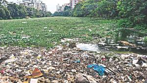 Plastic Pollution