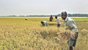poor-North-Bangladesh-victims-Covid-19.jpg