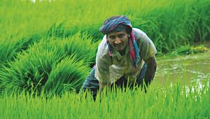 Rangpur